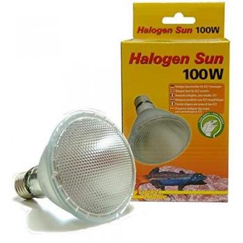 Lucky Reptile HS-100 - Lámpara halógena