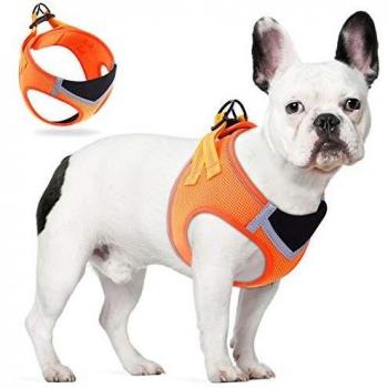 TAMOWA Arnes Perro Pequeños, Reflectante Ajustable de Arnés Antitirones Suave Acolchado Cómodo Tejido de Malla Transpirable Arnés Chaleco para Cachorros Perros Pequeños Mediano, S, Naranja