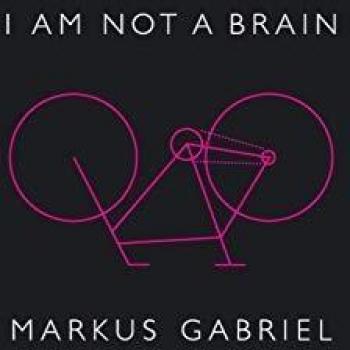I Am Not a Brain: 21st Century Philosophy of Mind (Hardback Edition)