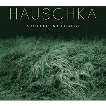 Unique Forest Vinyl