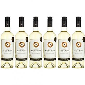 Santa Digna Reserva Sauvignon Blanc, Vino Blanco - 750 ml