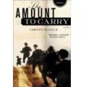 The Amount to Carry: Short Stories by Carter Scholz