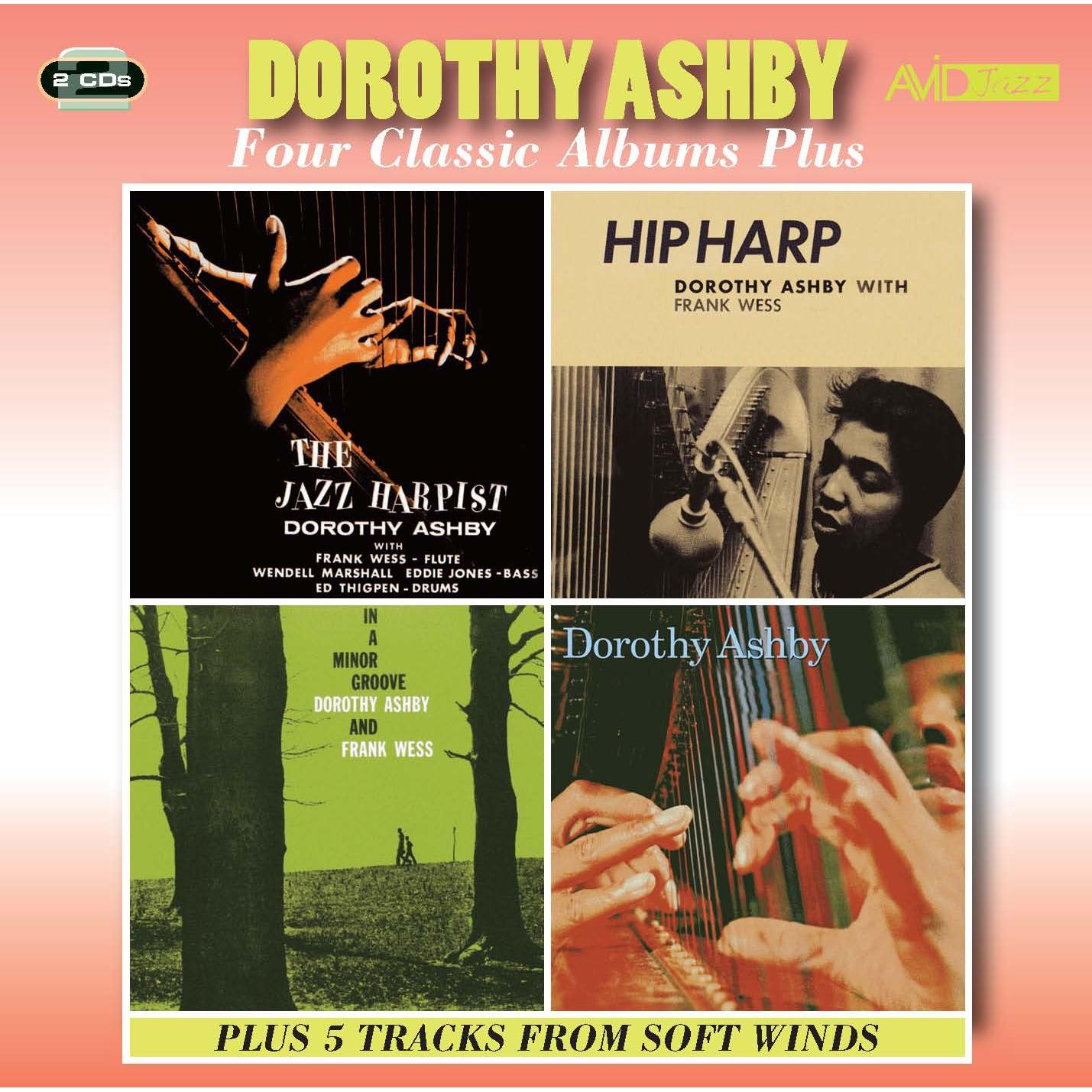 Imagen Principal