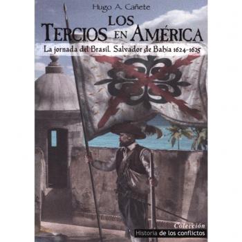 Los Tercios en América: La jornada de Brasil, Salvador de Bahía 1624-1625
