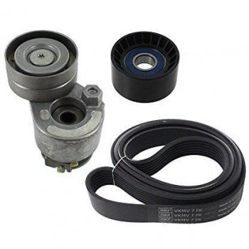 SKF VKMA 36031 Kit de correa multi-V