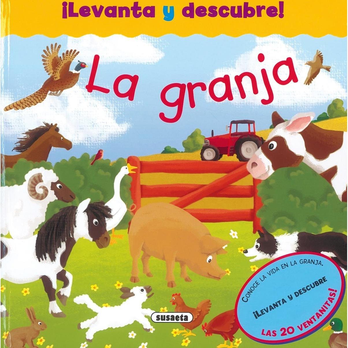Imagen Principal