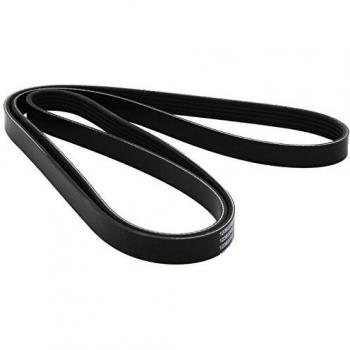 Dayco 5PK1800 Correa Trapecial Poli V