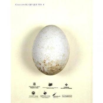 Catálogo de Juan del Junco