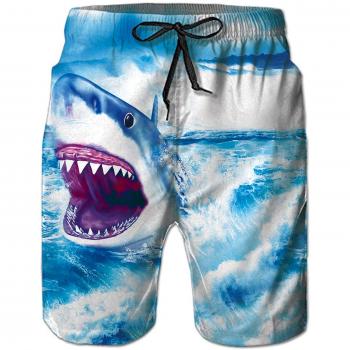 Goodstoworld Hombre Bañador Shorts 3D Playa Natacion Pantalon Corto Poliéster Secado Rápido Ligero Bermuda Moda Shorts
