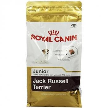 ROYAL CANIN Jack Russell Terrier Junior - 1500 gr