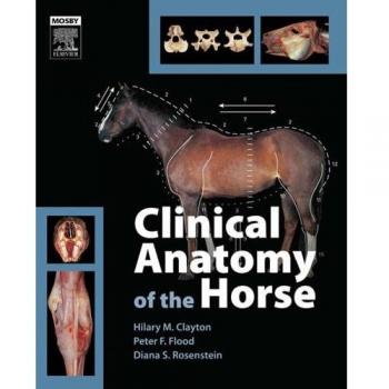 Clinical Anatomy of the Horse