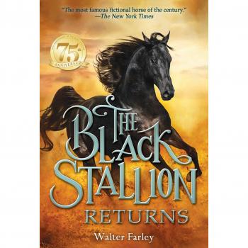 The Black Stallion Returns