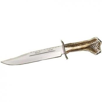 Cuchillo de caza Muela Alamo ALAMO-26H.A, puño de asta de ciervo, hoja tipo Bowie de 26 cm, guardas en acero inoxidable + tarjeta multiusos de regalo