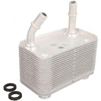Enfriador de aceite THERMOTEC D4B005TT - Tipo: Enfriador de aceite; Características: Compatible con sistemas de refrigeración de motores, diseñado para optimizar la temperatura del aceite del motor, fabricado con materiales