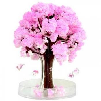 Nuevo japonés Magic Sakura árbol – pequeño