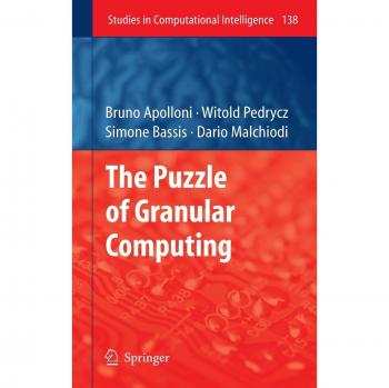 Granular Computing Puzzle: Insights in Computational Intelligence