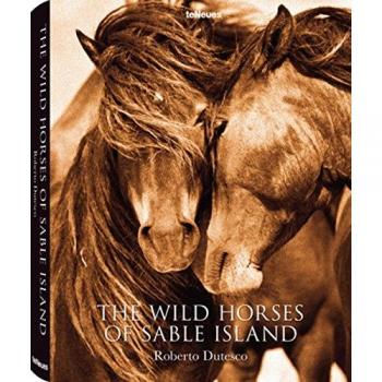 The Wild Horses of Sable Island