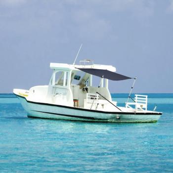 Toldo T-Top Extensión para Barco 170x170x(115-183) cm Color Azul, Blanco, Gris y más