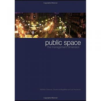Public Space: The Management Dimension