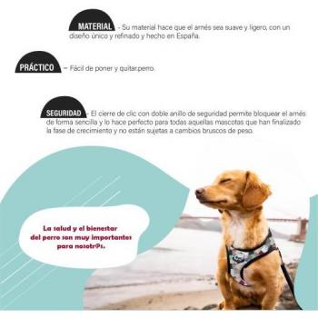 BULL ARNES CONFOR THOR PARA PERROS