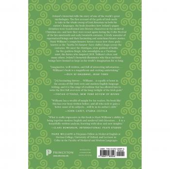 Ireland's Immortals: A History of the Gods of Irish Myth