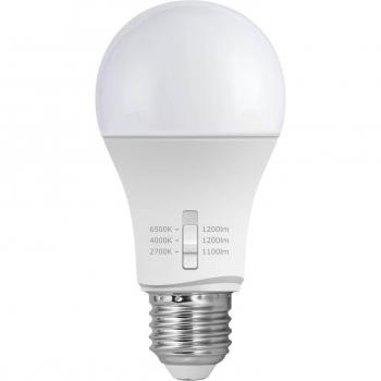 FUMAGALLI Bombilla LED E27 A60 - 11W - CCT