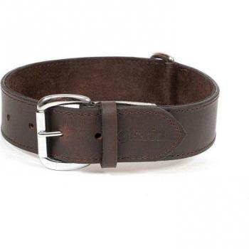 Collar para Perro Gloria Marrón 60 cm (60 x 4 cm)
