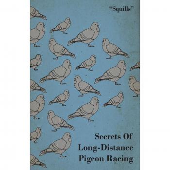 Long-Distance Pigeon Racing Secrets by Squills