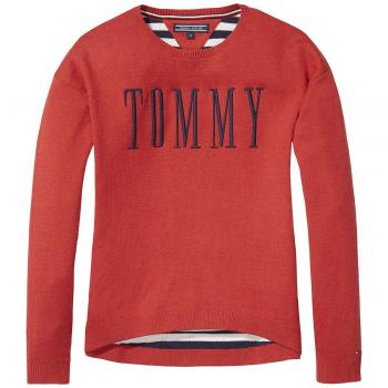 Camiseta TOMMY HILFIGER 697 AME GRAPHIC SWEATER