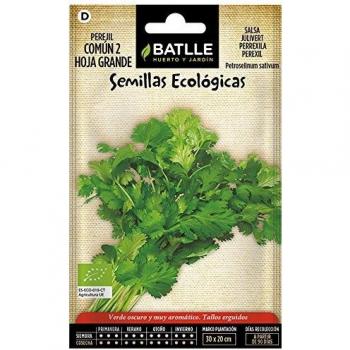 Perejil Común 2 Hoja Grande Ecológico - Semillas Orgánicas