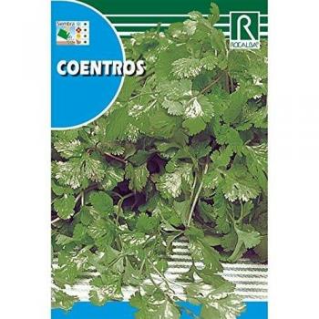 Semillas de Coentros