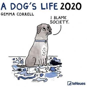 A Dog's Life 2020 Broschürenkalender
