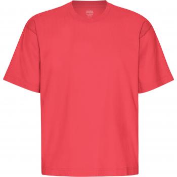 Colorful Standard Organic Oversized T-Shirt