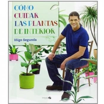Cómo cuidar las plantas de interior