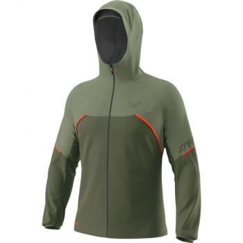 Chaqueta fina Dynafit Alpine GORE-TEX verde bosque - S