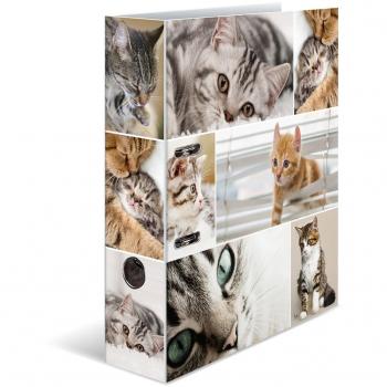 Archivador Palanca 7 cm A4 Carton Herma Gatos, Carpeta con motivo HERMA, Animales, DIN A4, gatos