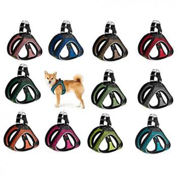 Arnés para Perro Hunter Hilo Comfort Verde Oscuro S/M 48-55 cm