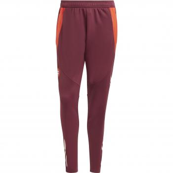 Bayern Munich European Tiro 2024/25 Jogging Pants