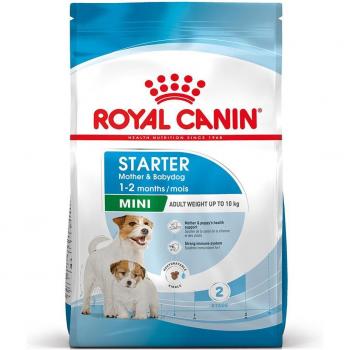 Royal Canin Mini Starter Mother & Babydog Dry Dog Food - 4 kg
