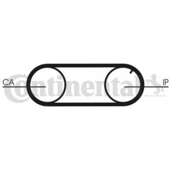 Juego de bomba de agua + kit de correa de distribución CONTITECH CT 704 WP2 PRO