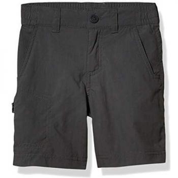 Columbia Silver Ridge IV Pant City Grey