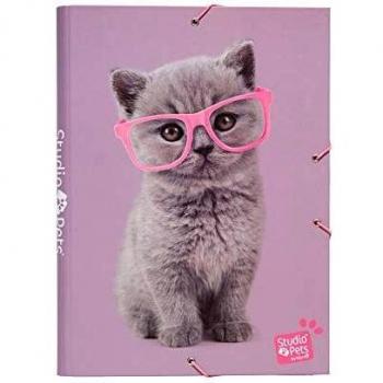 Erik – Carpeta de cartón A4 Studio Pets Cats | Carpeta con solapas, funda de cartón 24 x 34 cm | suministros escolares y de oficina