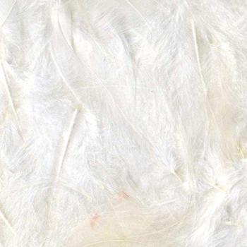 Plumas Blancas Rizadas - Paquete de 3 g - Tamaño 8 a 12 cm