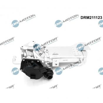 Válvula EGR Dr. Motor Automotriz DRM211123