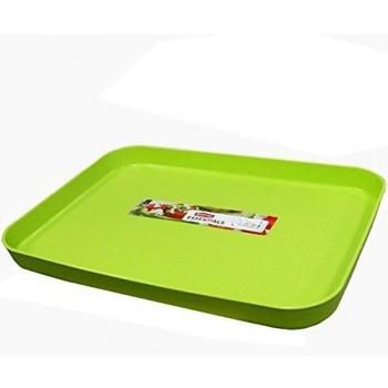 Curver 00737-598-00 Bandeja para servir 43 x 30,8 x 3,5 cm, color verde
