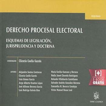 Derecho Procesal Electoral Esquemas de Legislación, Jurisprudencia y Doctrina