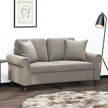 Almohadas Decorativas 2 Piezas Gris Claro 40x40 cm en Terciopelo