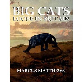 Gatos Grandes Sueltos en Gran Bretaña - Libro de Tapa Blanda