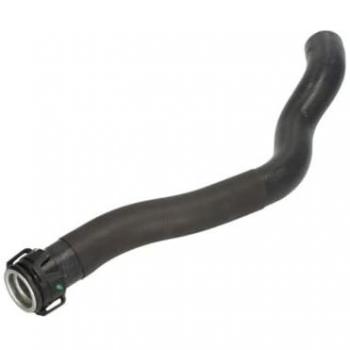 Manguera del radiador THERMOTEC DWP117TT, Tubería de radiador THERMOTEC DWP117TT, THERMOTEC Tubería de radiador arriba