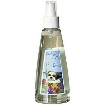 ICA PFP4 Perfume Baby